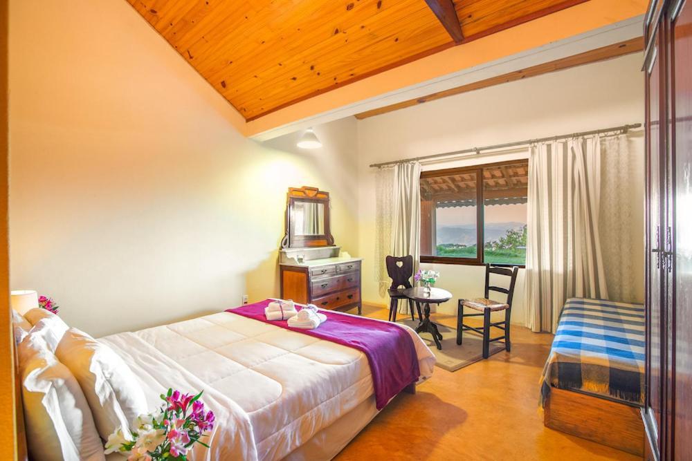 Standard Double Room,1121823435:JPEG