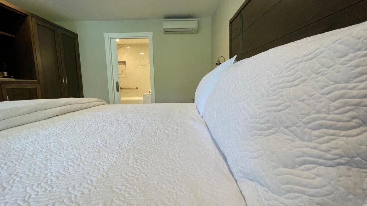 Superior King Room 1 King Bed