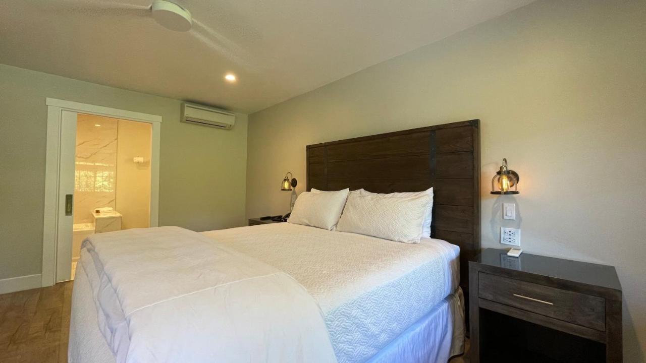 Superior King Room 1 King Bed