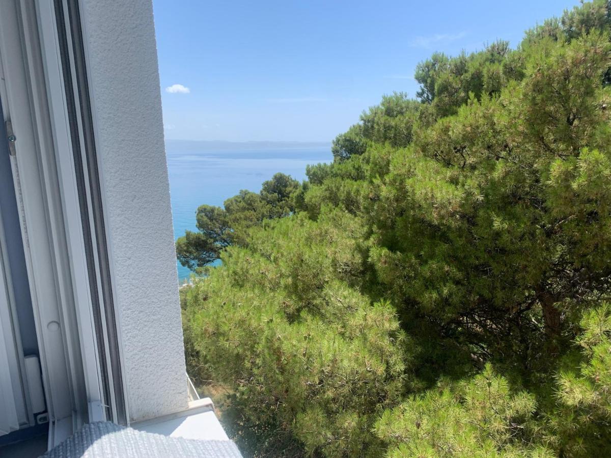 Double Room Garden View,1128881133:JPEG