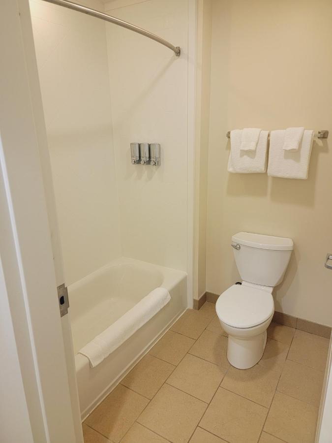 King Suite Lodge