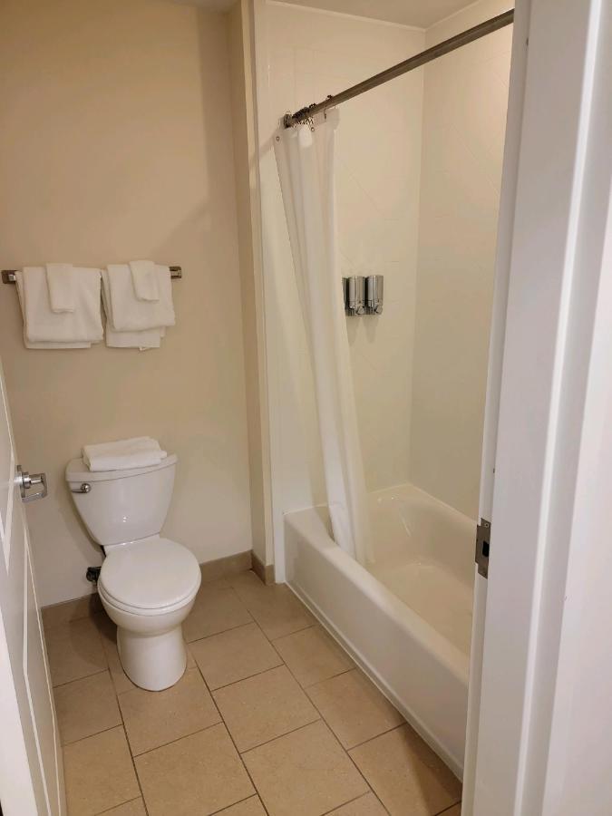 Double Room Two Double Beds Lodge