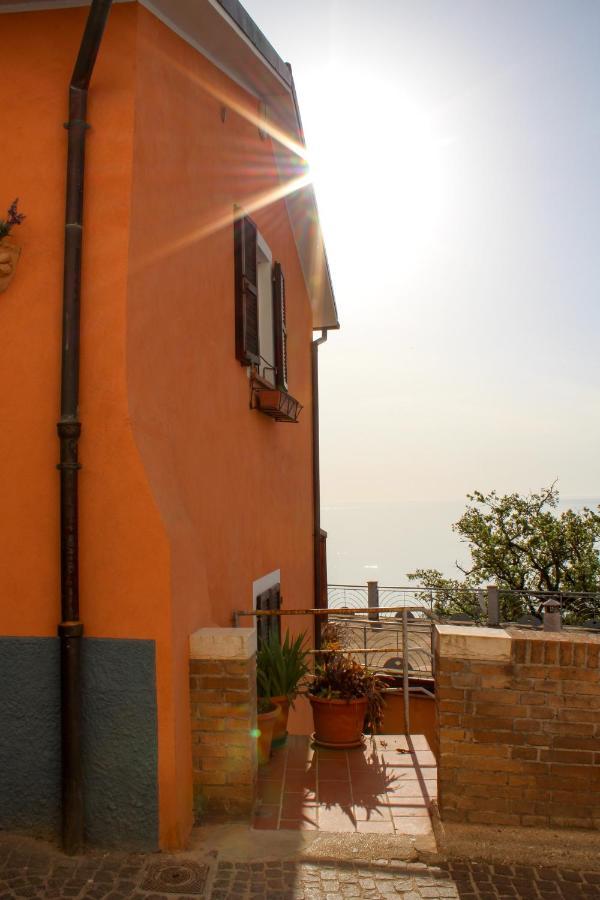 Double Room Terrace,1595463419:JPEG