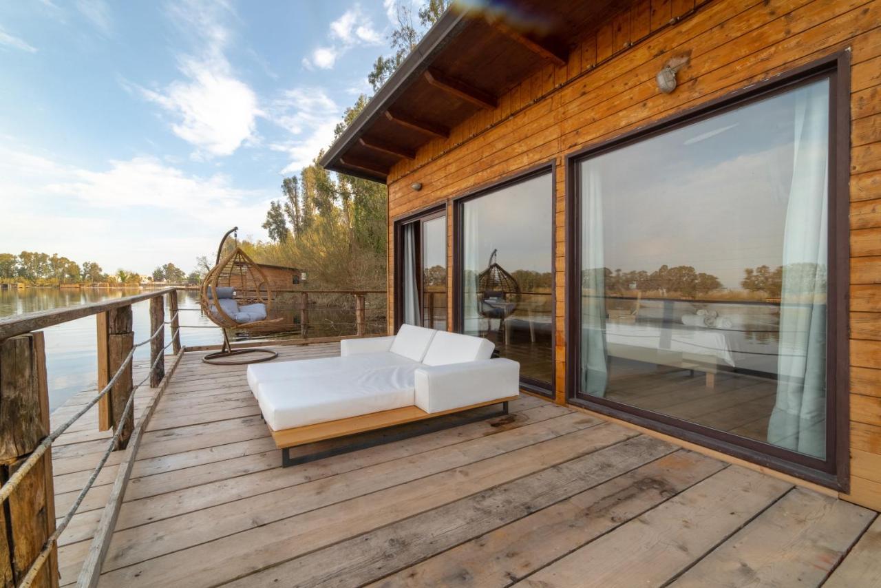 Cottage Lake View