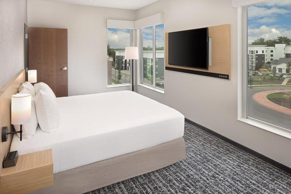 King Suite Bathtub Sofa Bed Mobility Accessible
