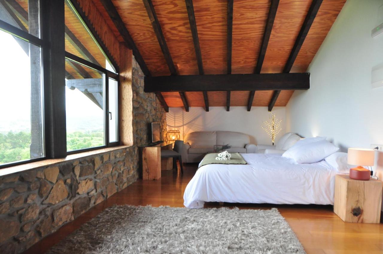Deluxe Double or Twin Room Mountain View
