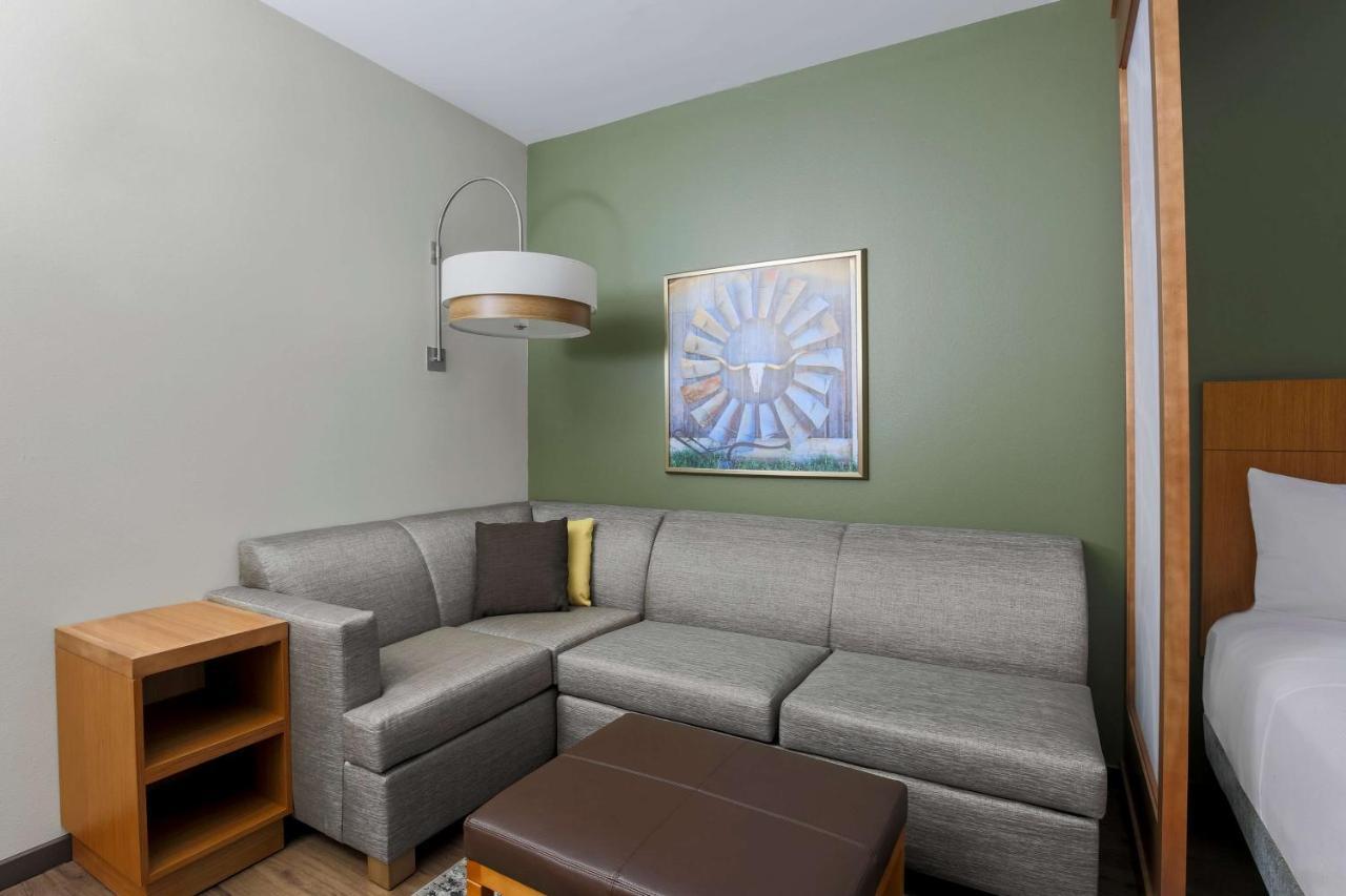 King Room Sofa Bed