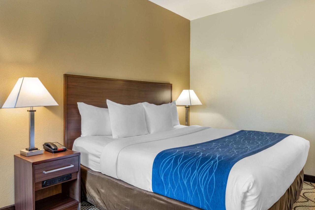 Standard Room 1 King Bed Non Smoking