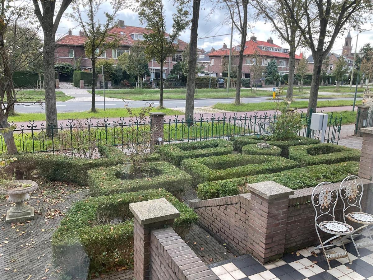 Studio Garden View,1344243218:JPEG