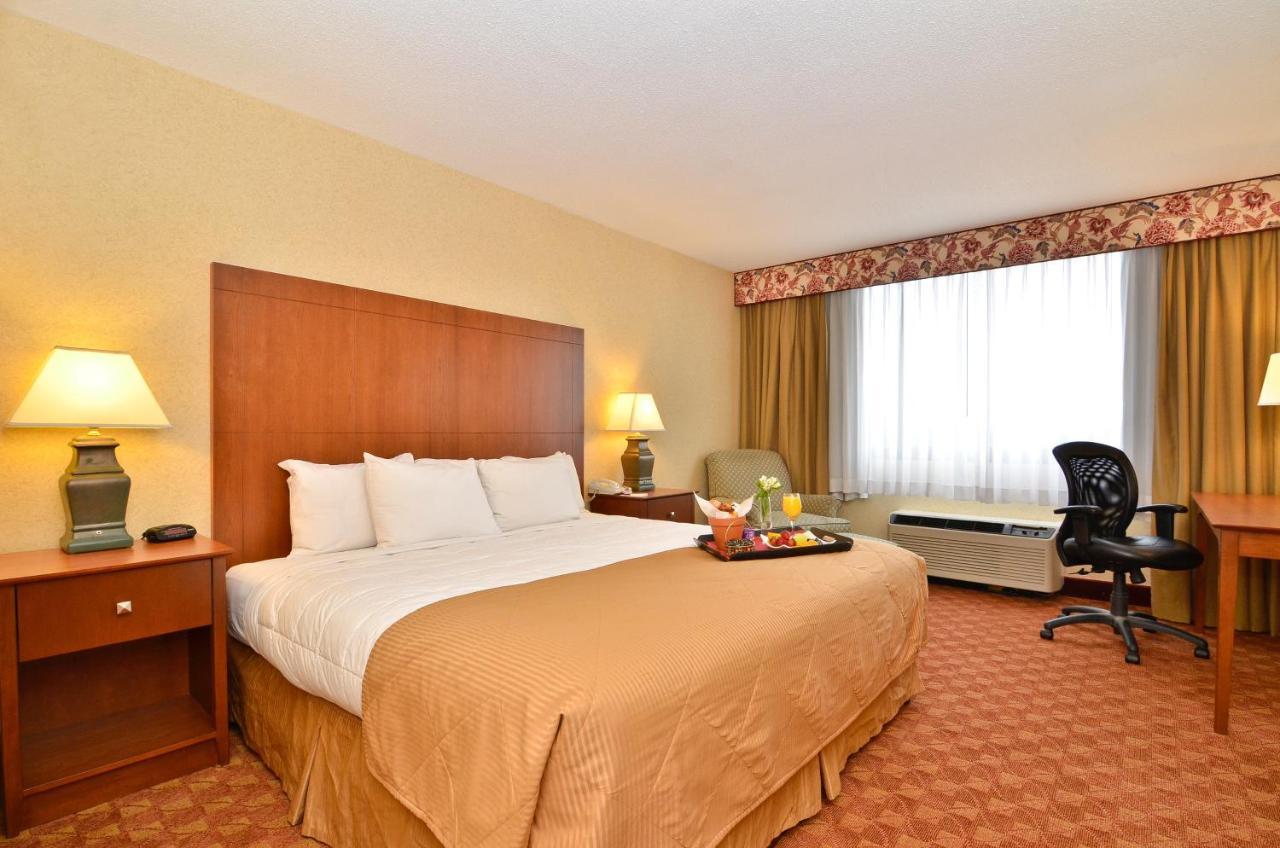 King Room Pet Friendly or Non-Smoking,1157598399:JPEG