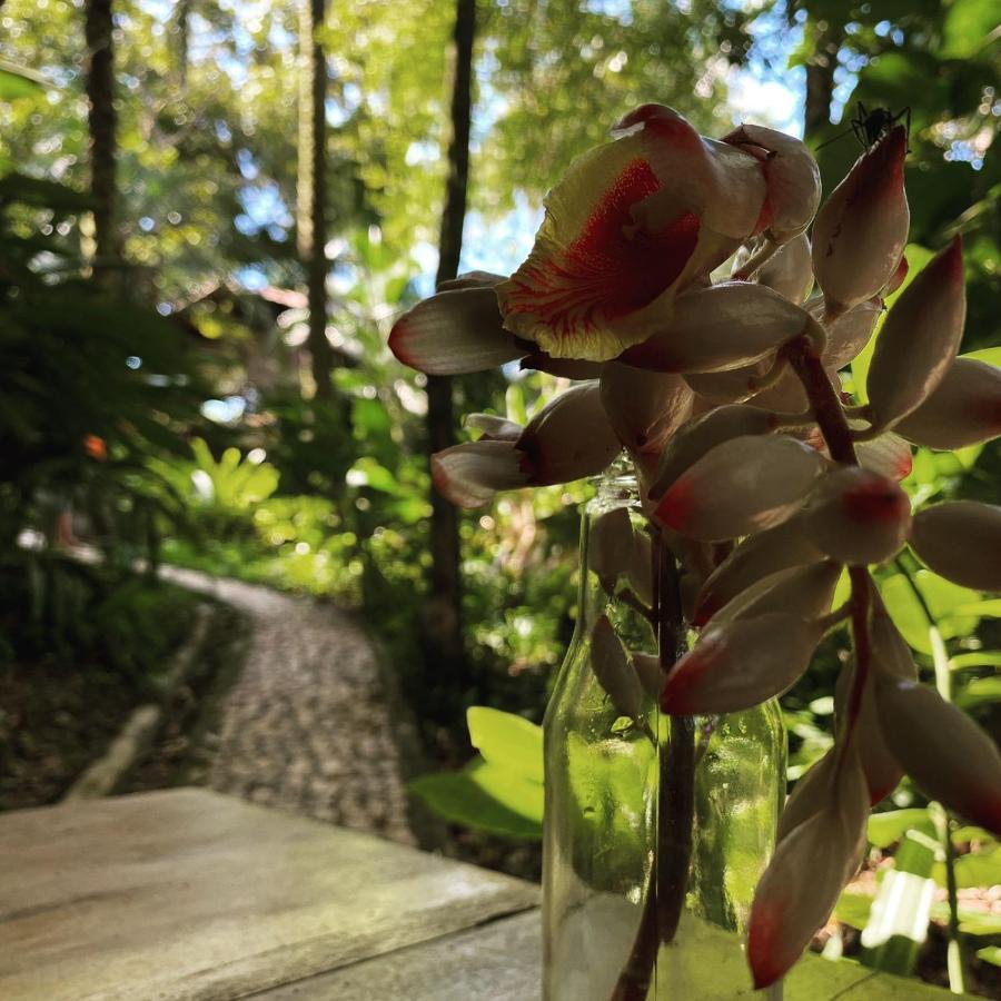 Double Room Garden View,1165214196:JPEG