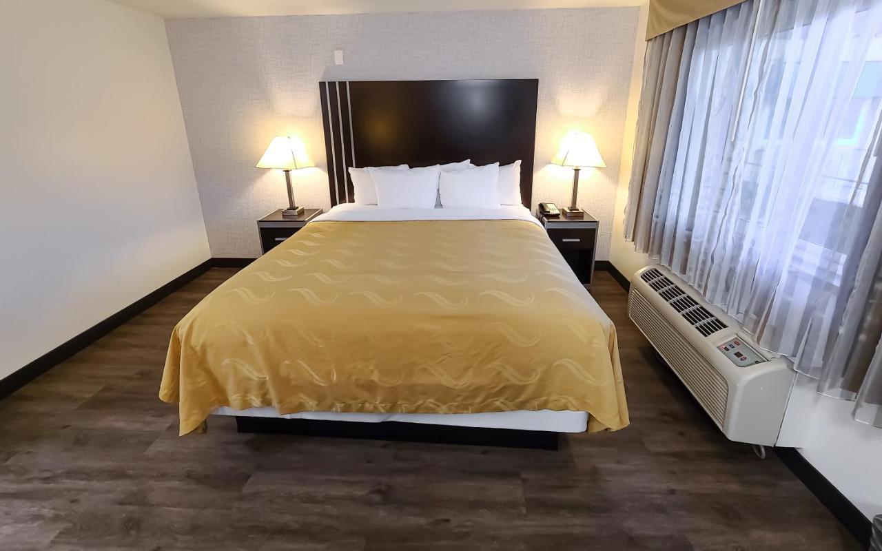 Deluxe Suite 1 King Bed Sofa Bed Non Smoking,1168259344:JPEG