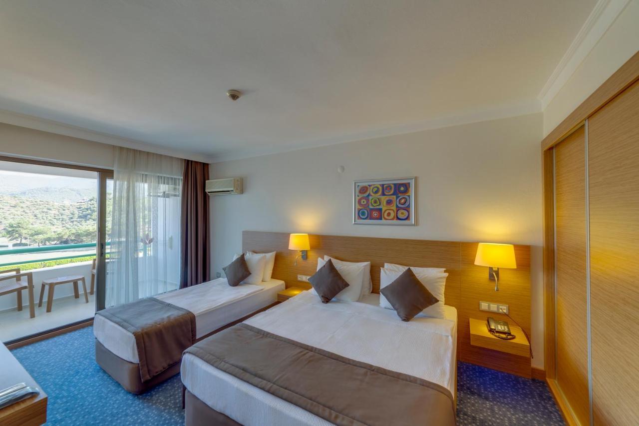 Mountain View Room