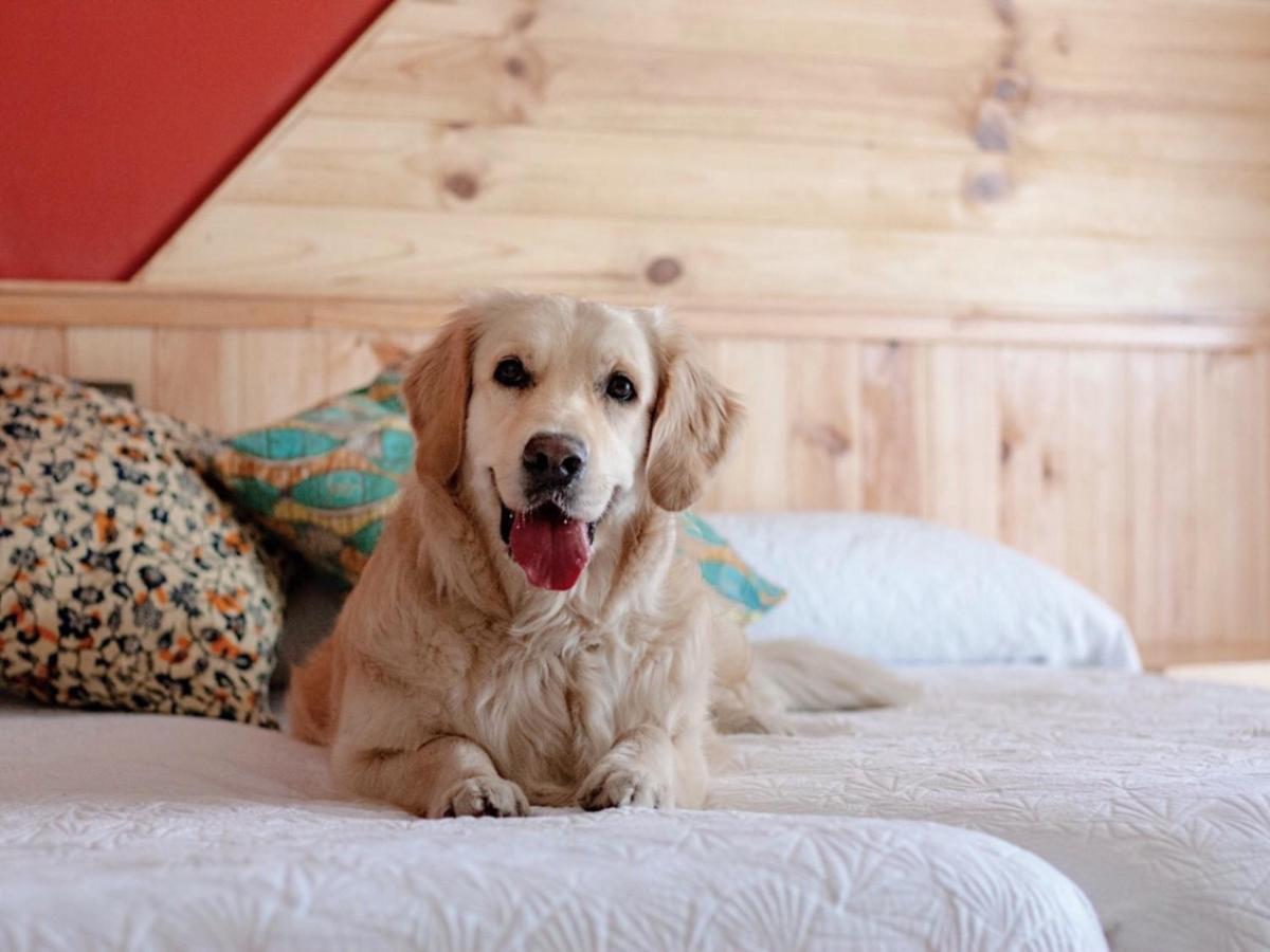 Double Room - Attic,150387607:JPEG