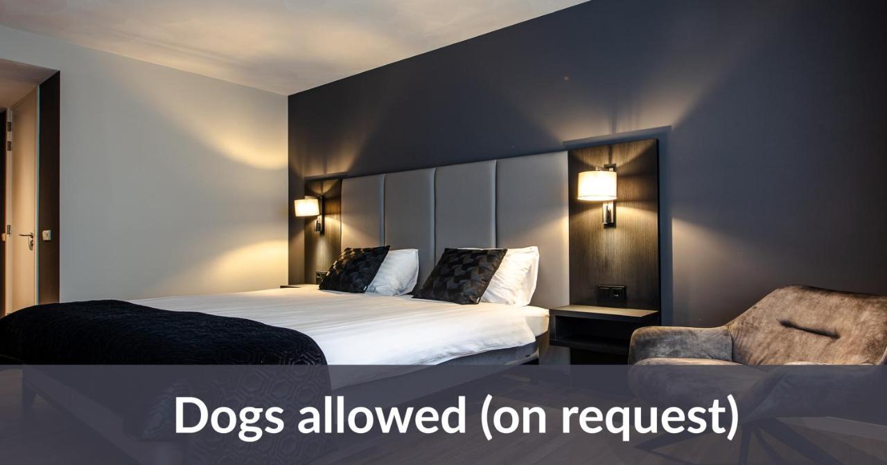 Comfort Plus Room