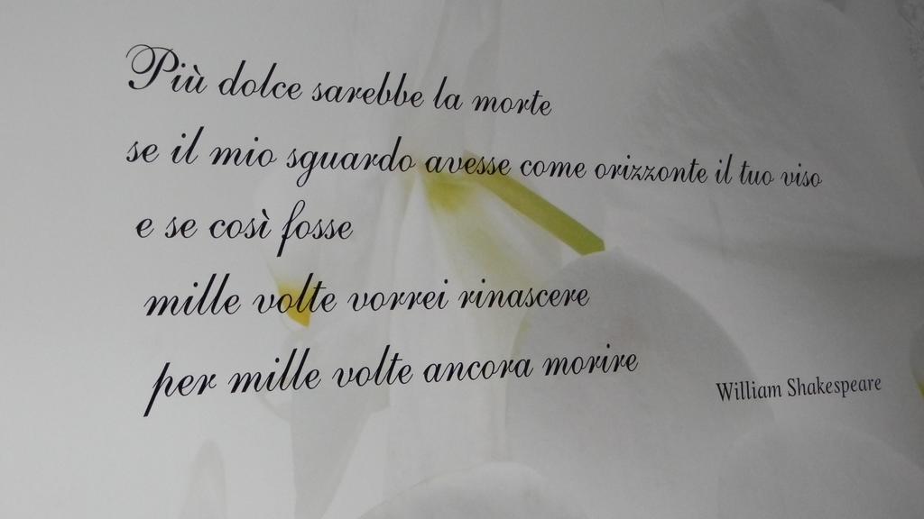 Suite,118204447:JPEG