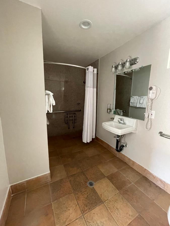 Double Room Disability Access Non Smoking,1187294620:JPEG