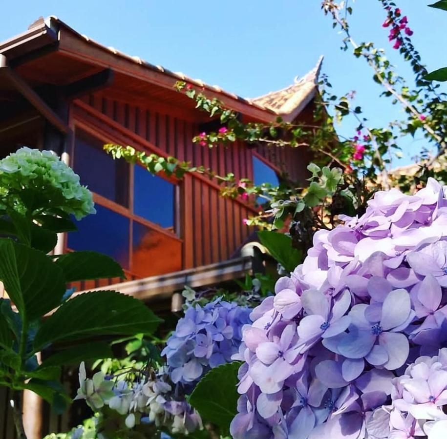Superior Twin Room Garden View