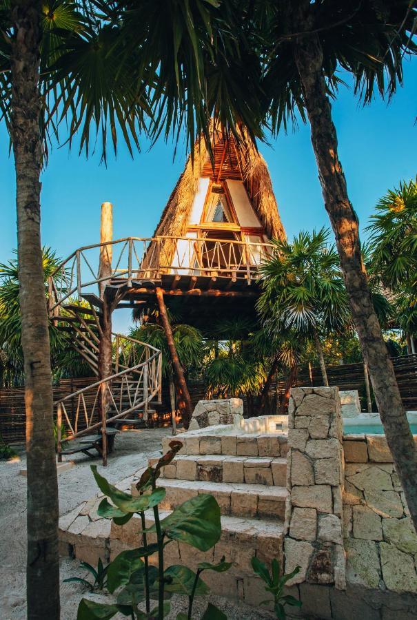 Tree House