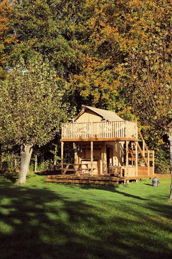 Glamping Tent Arriba |