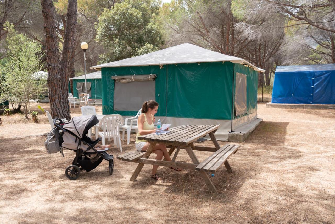 Tent,1371464591:JPEG