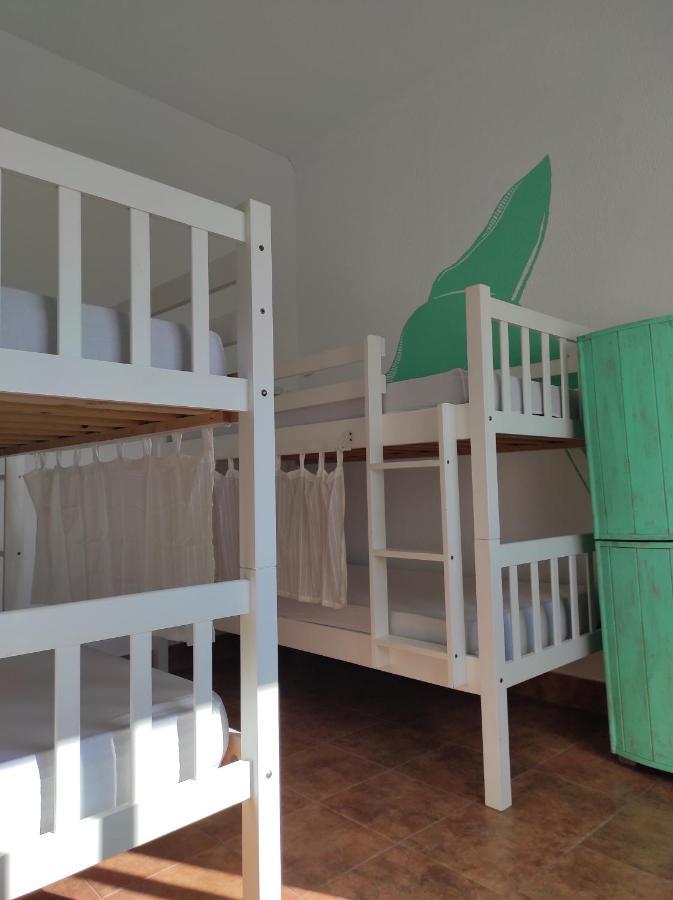 Bed 4-Bed Dormitory Room