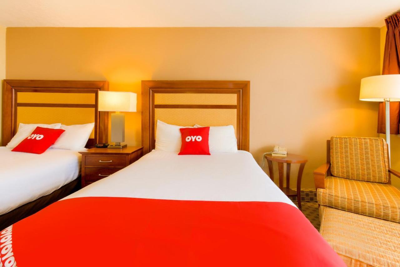Premium 2 Full Bed Kitchenette,1282100893:JPEG