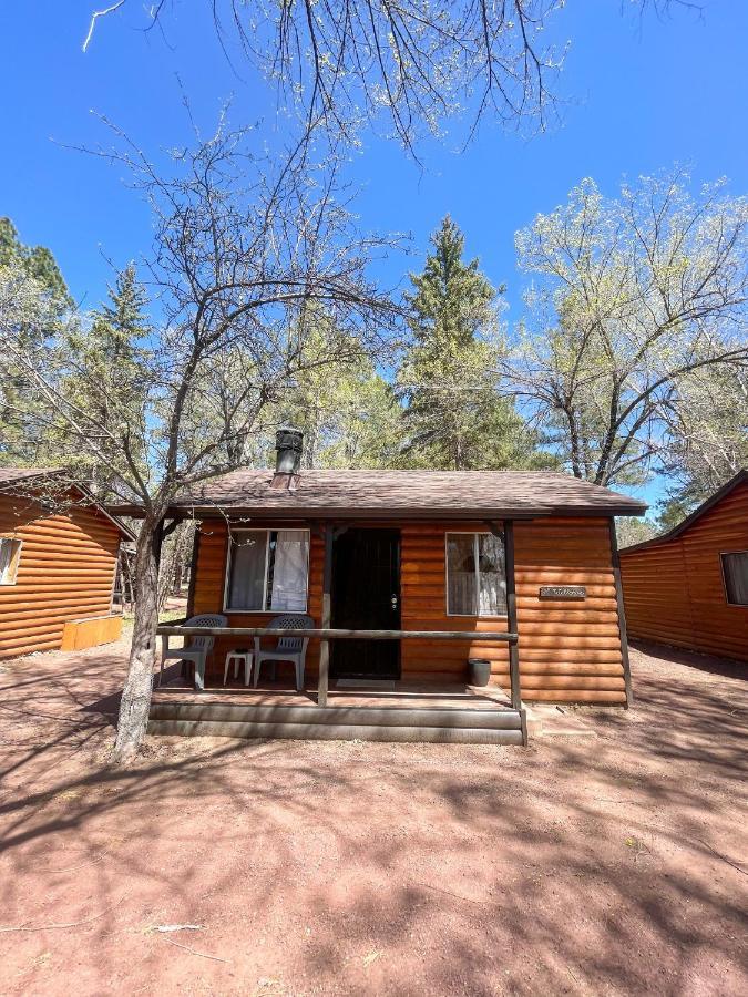 Willows Cabin One Bedroom