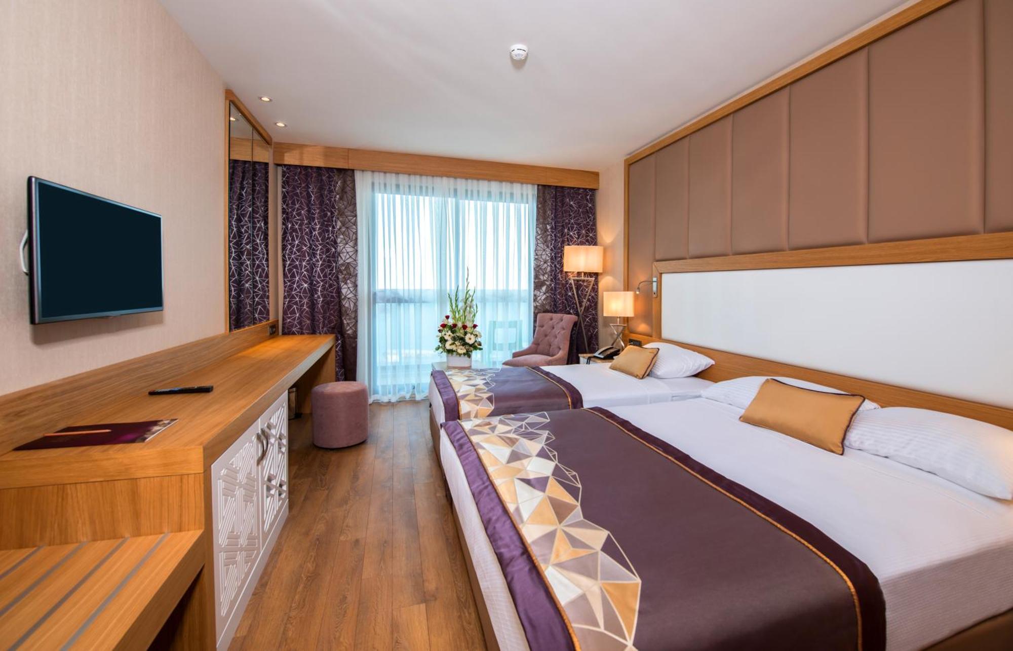 Double or Twin Room Mountain View