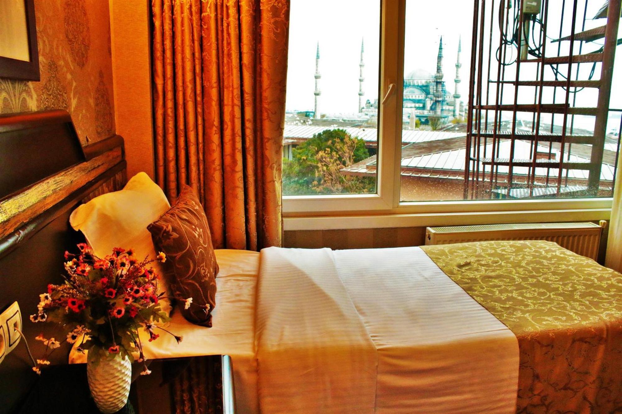 Standard Double Room,388568978:JPEG