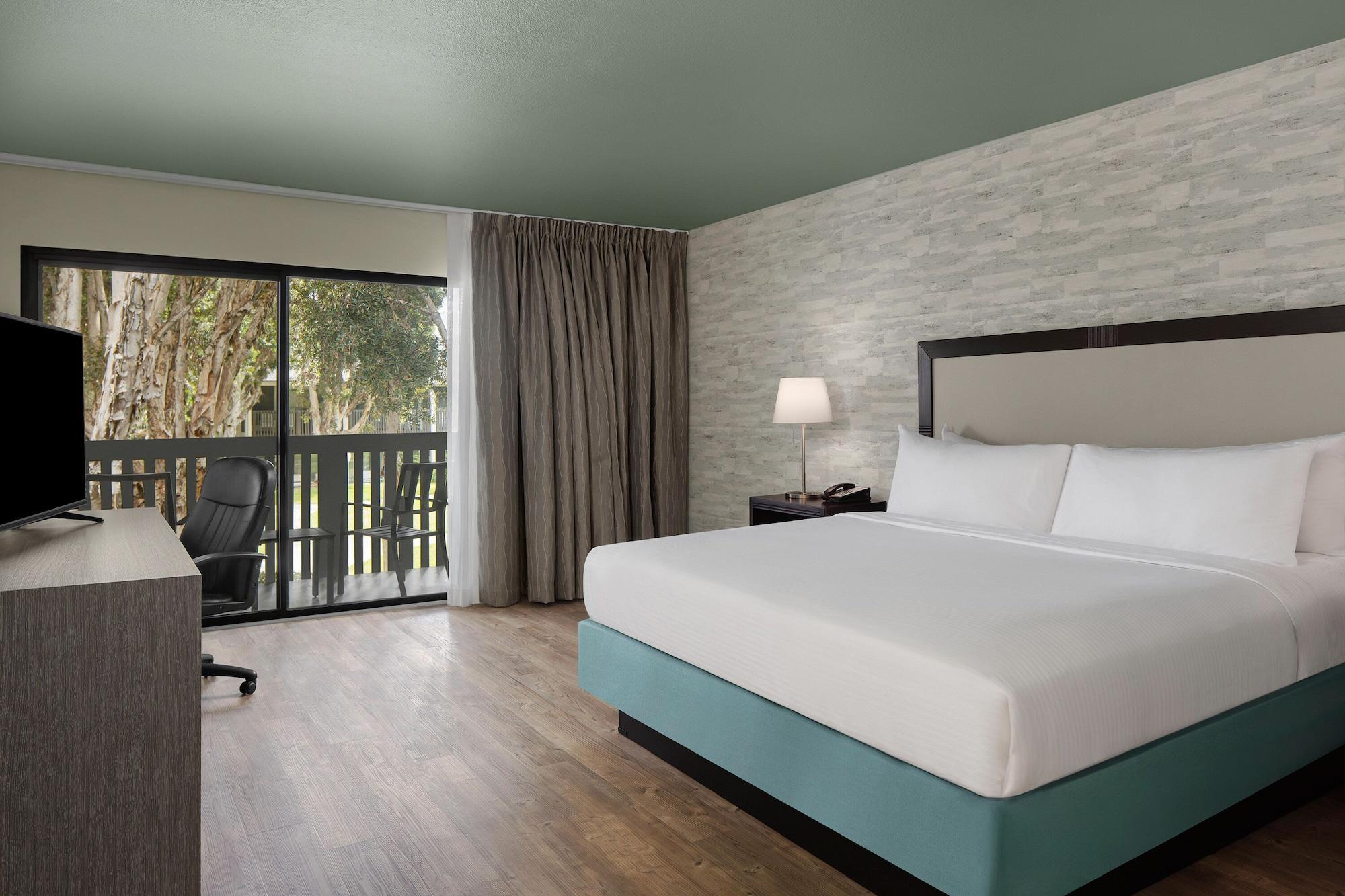 King Room,1210499137:JPEG