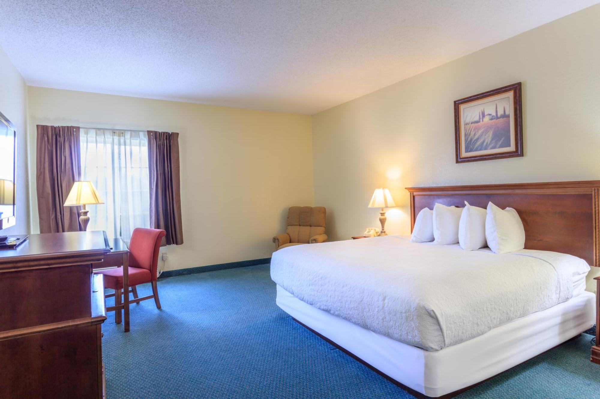 King Room - Disability Access,325086511:JPEG