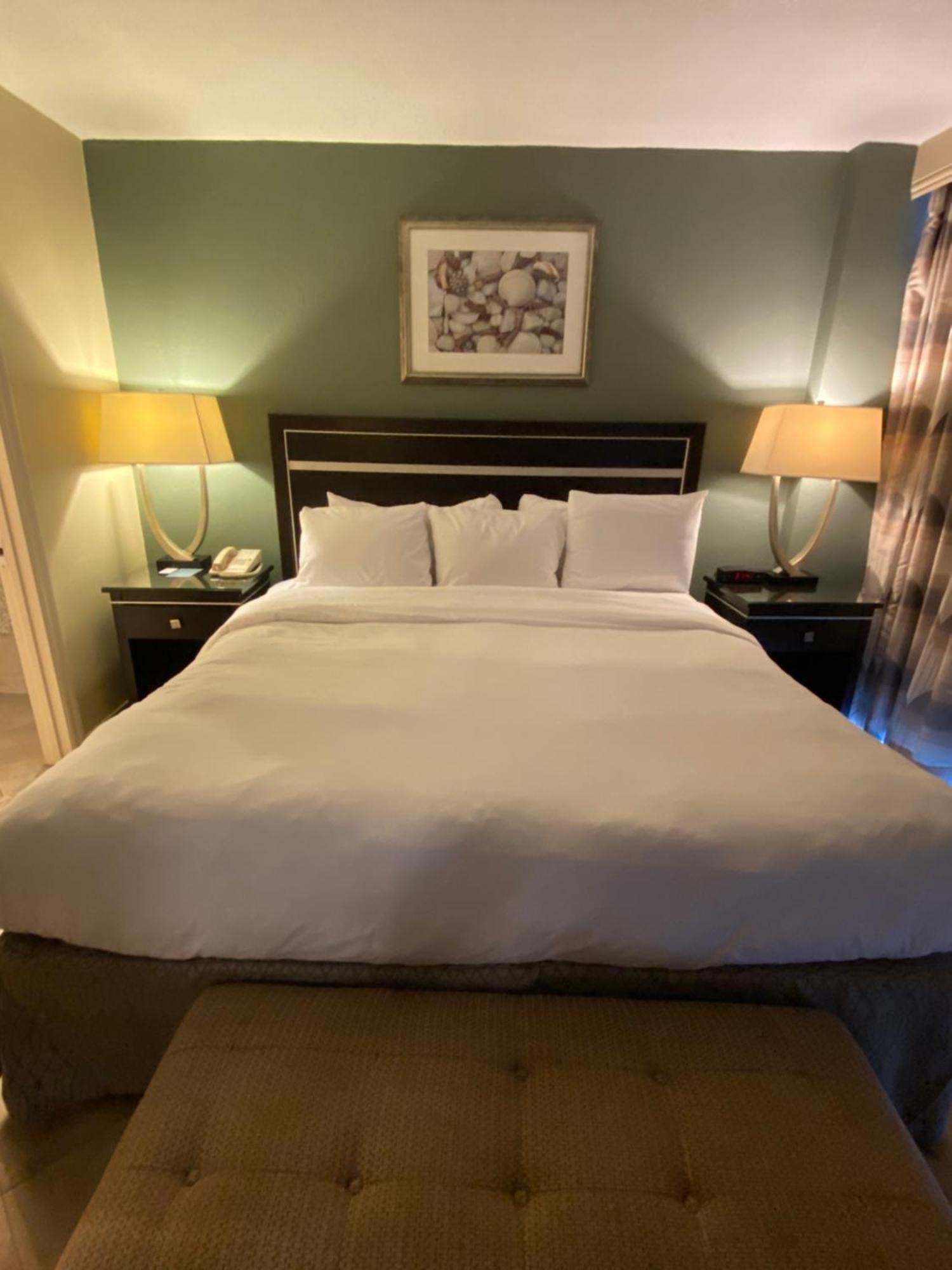 Oceanfront One-Bedroom King Suite Sofa Bed over 550 sq ft Balcony