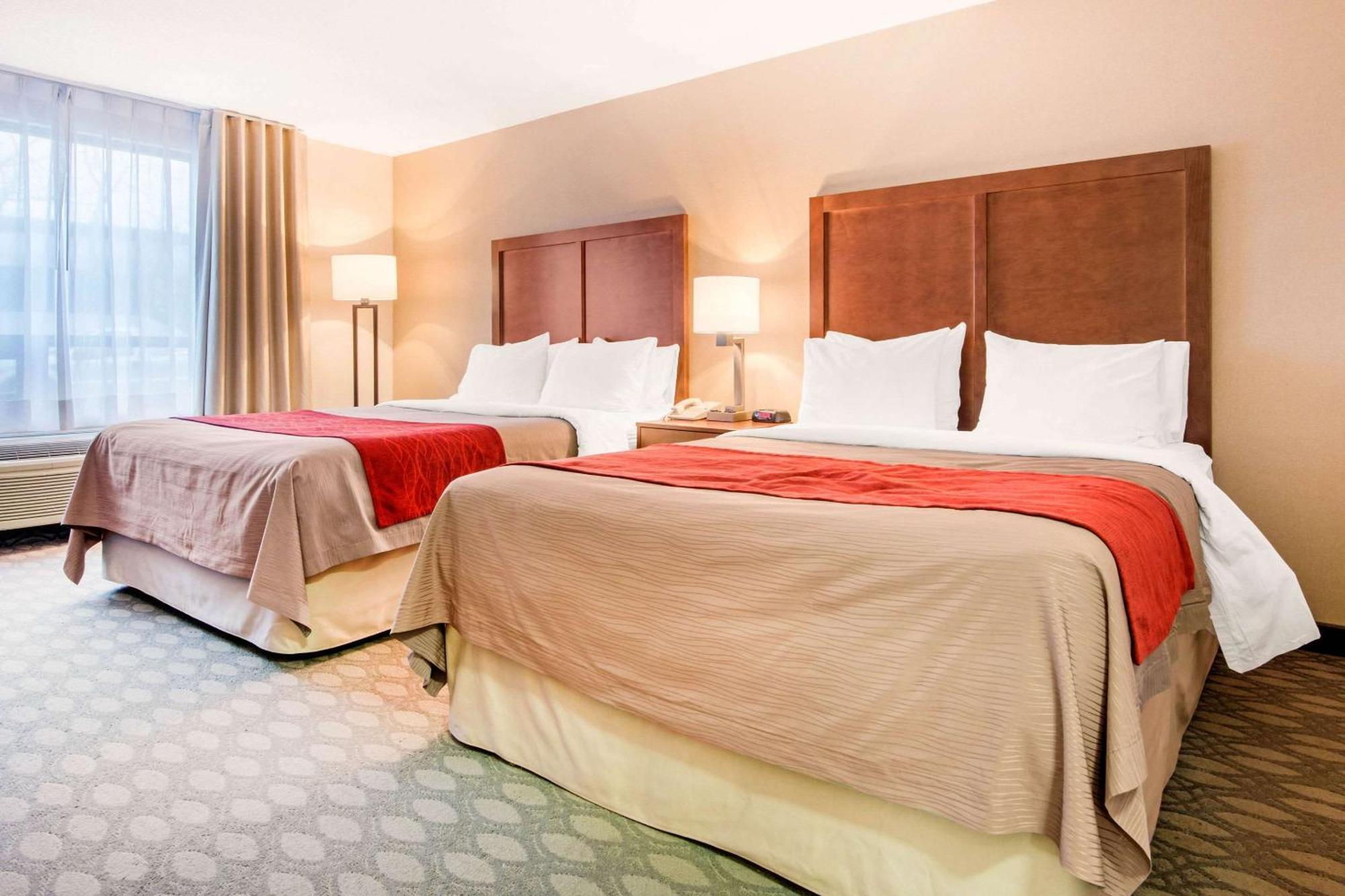 Room Two Double Beds