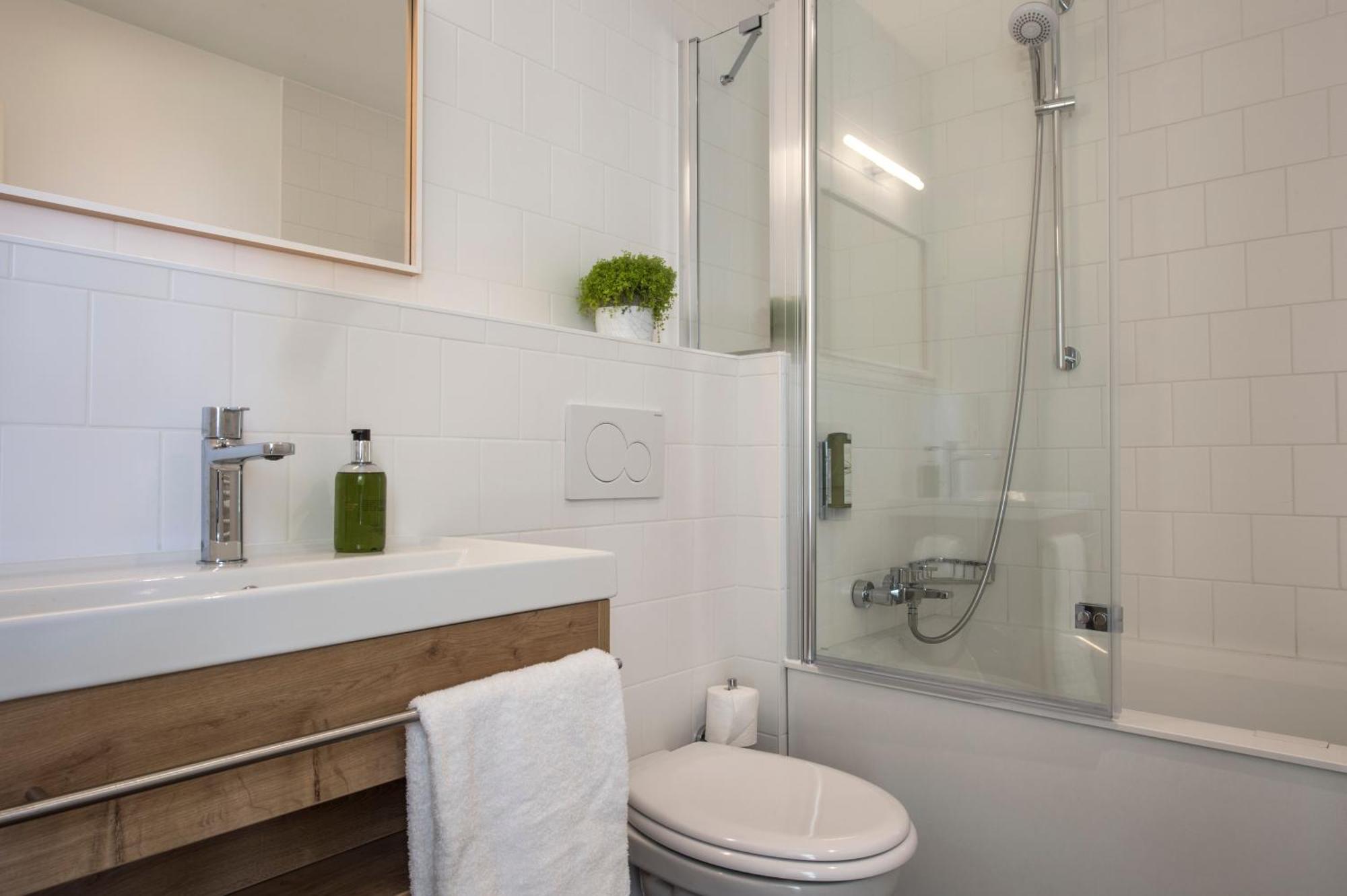 Superior One-Bedroom Apartment Montain view Balcony