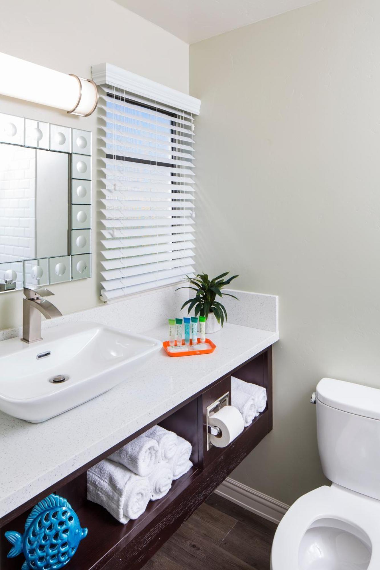 King Room - Pet-Friendly,1746828005:JPEG