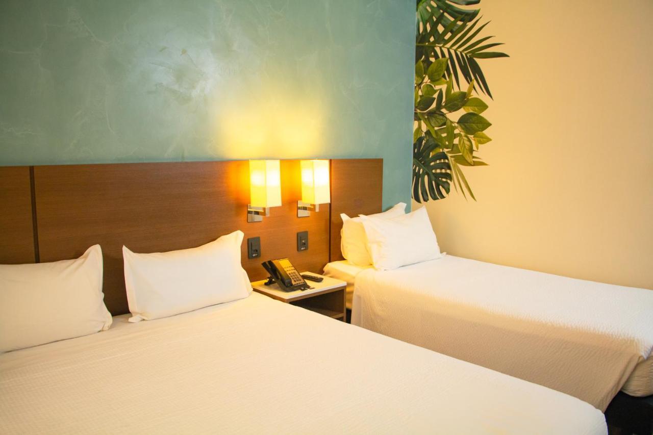 Triple Room One Double Bed One Single Bed