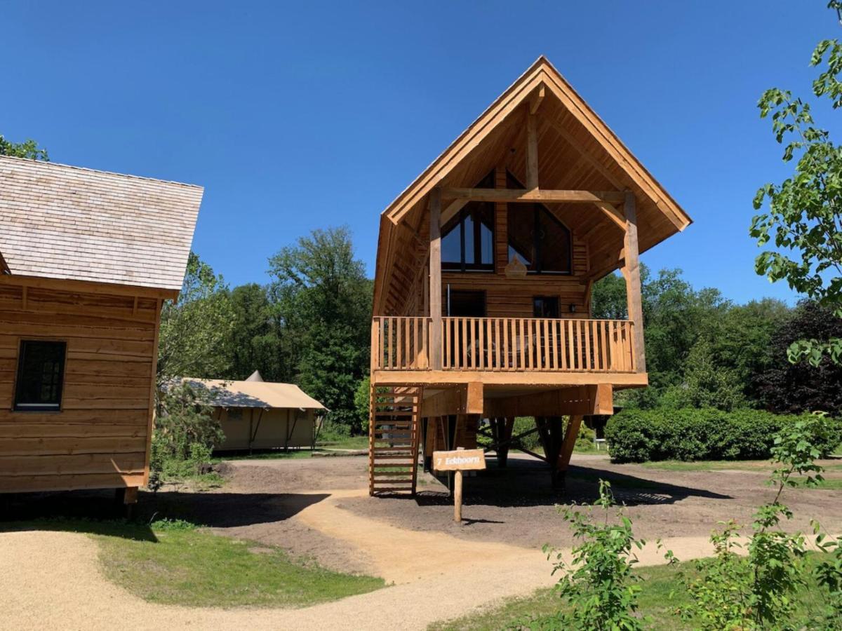 Boomhut met Jacuzzi | 2-4 Pers