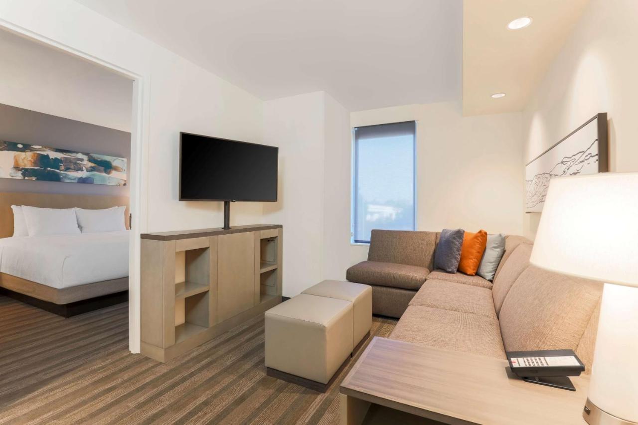 One-Bedroom King Suite Sofa Bed Kitchen