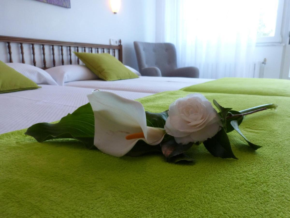 Double or Twin Room Terrace