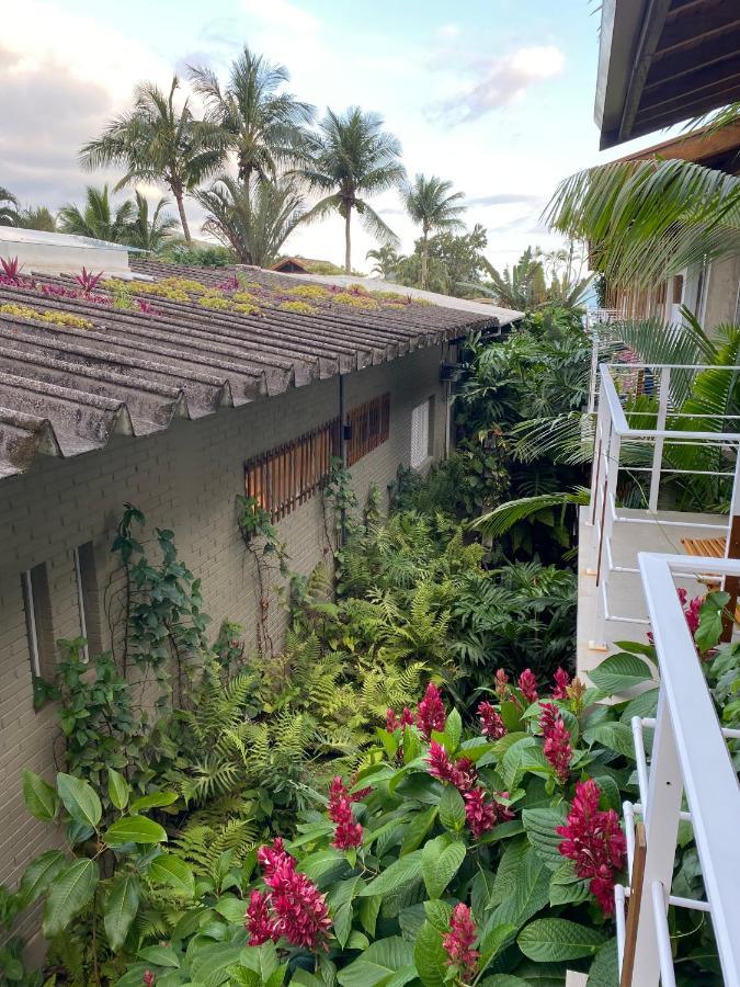Suite Mountain View