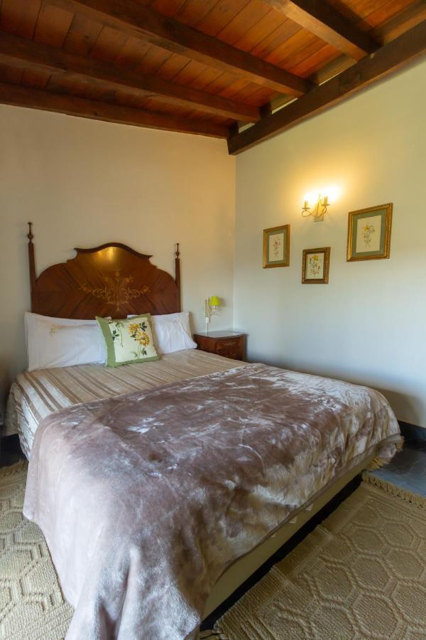 Classic Single Room