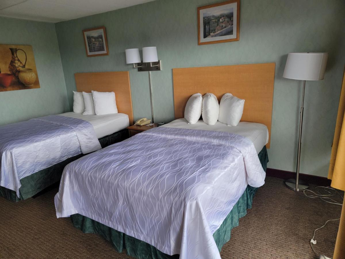 Standard Double Room Two Double Beds
