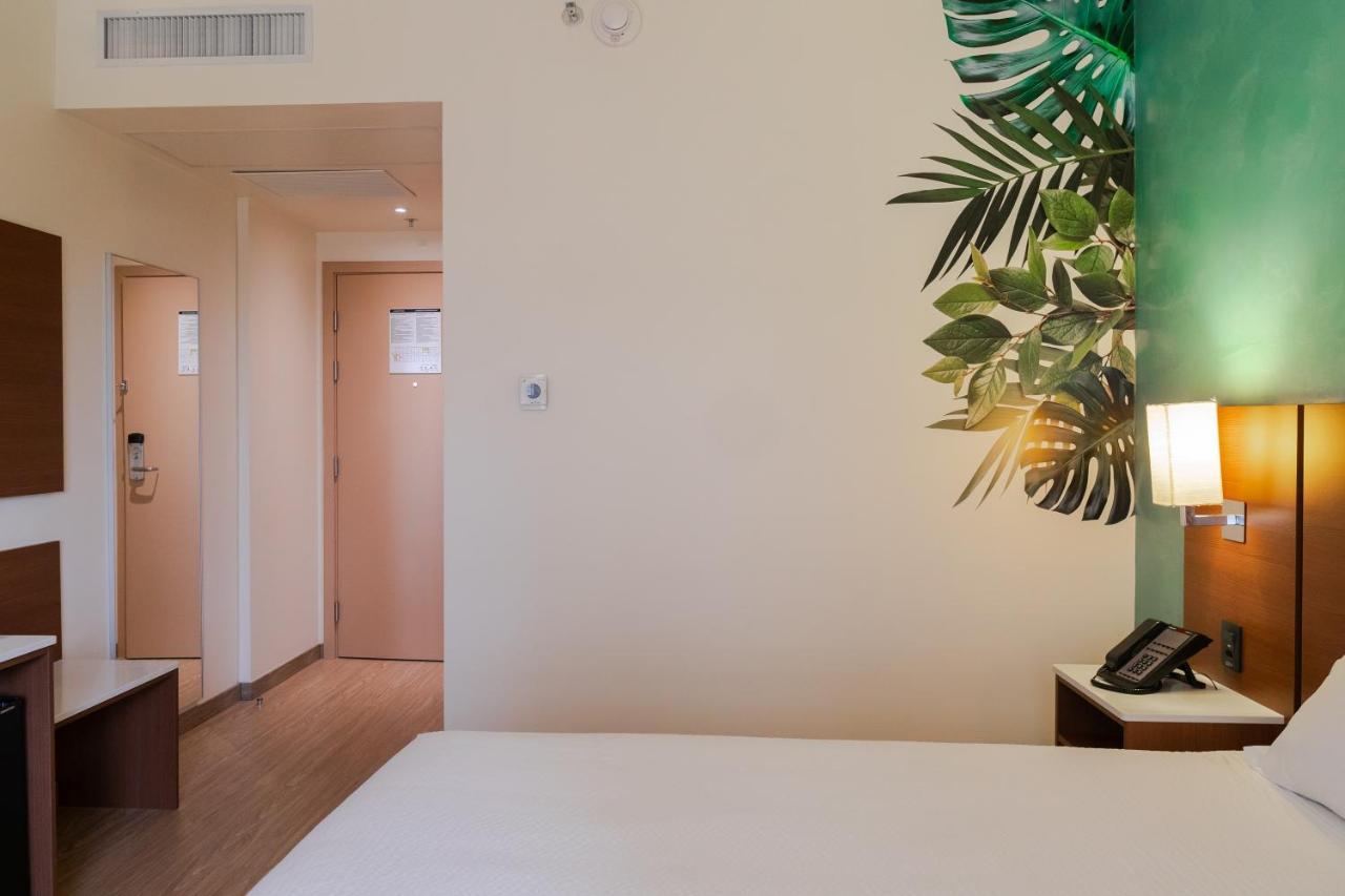 Standard Apartment One Double Bed