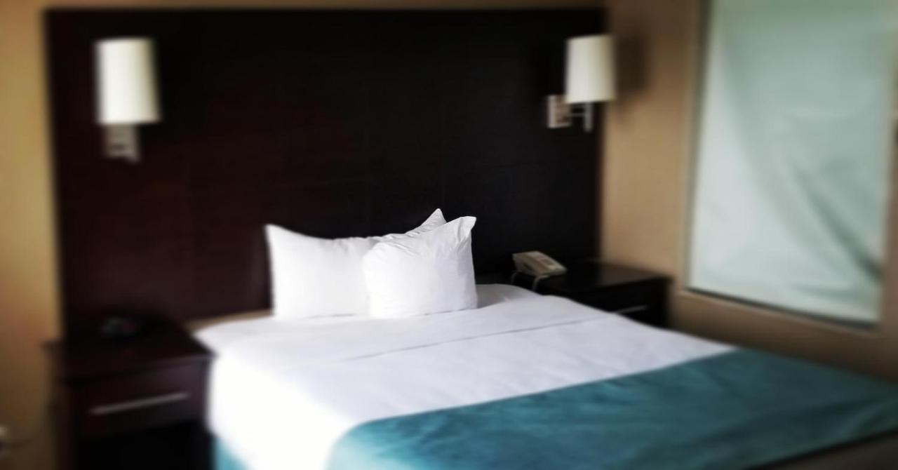 Standard King Room,1240311442:JPEG