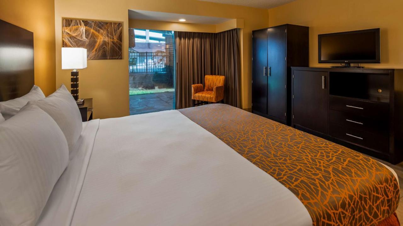 King Room Courtyard View Pet Friendly or Non-Smoking