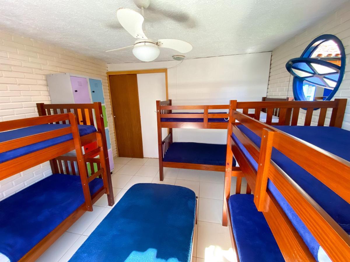 Bunk Bed Mixed Dormitory Room