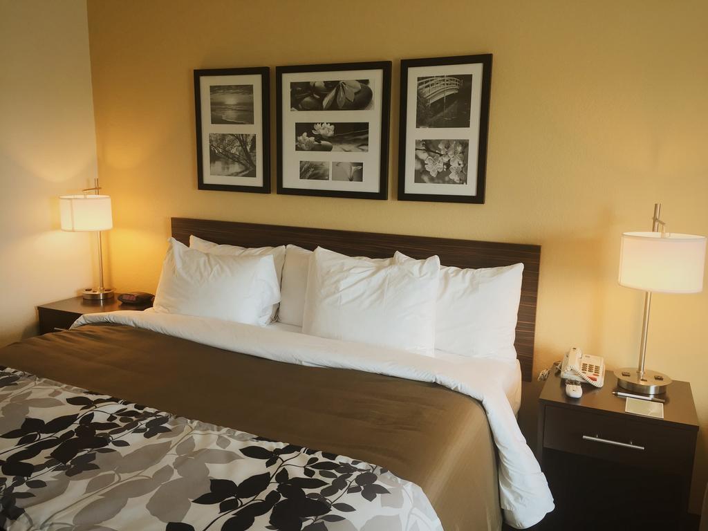 King Suite - Accessible/Non-Smoking