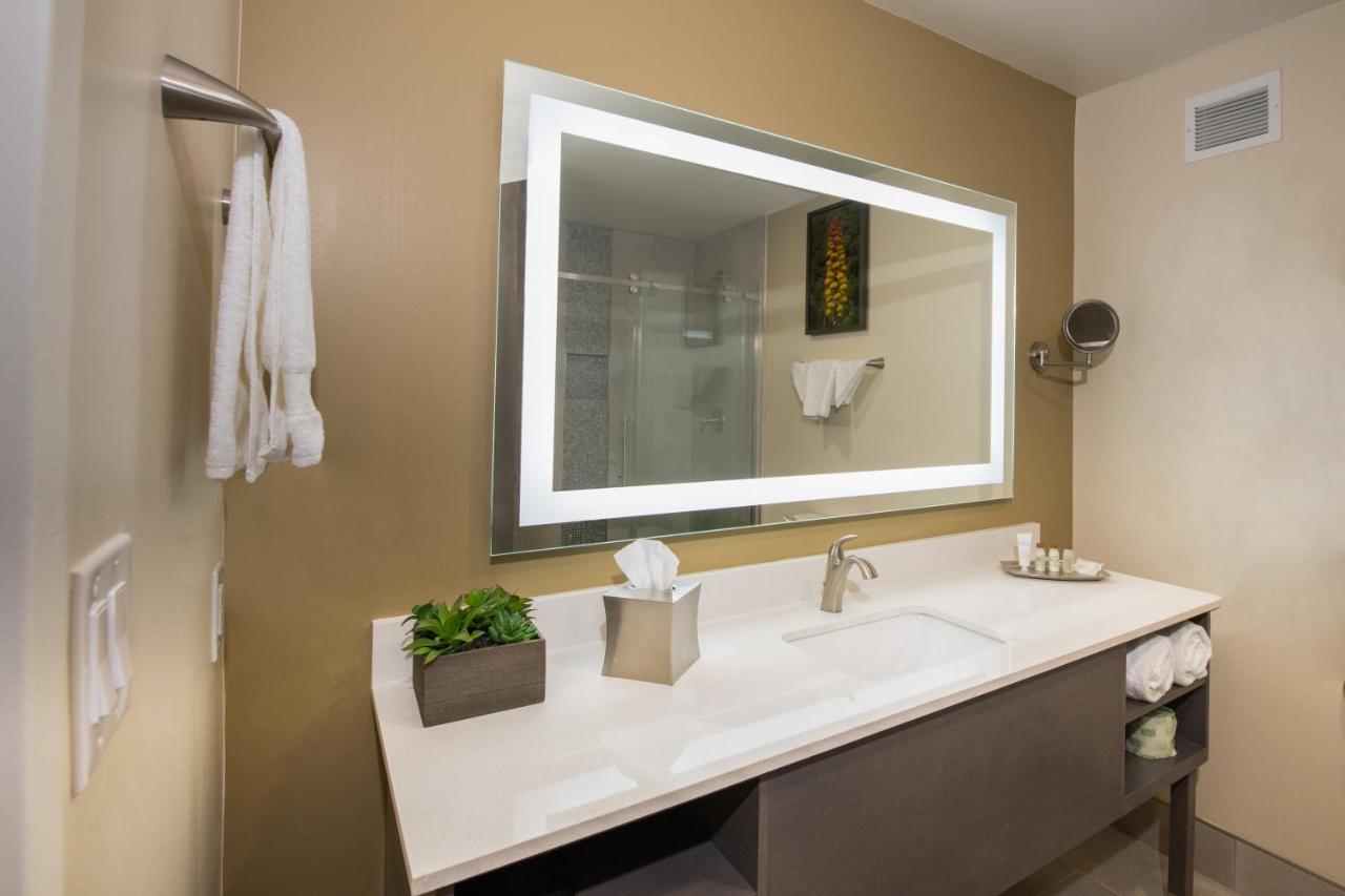 Deluxe Queen Suite