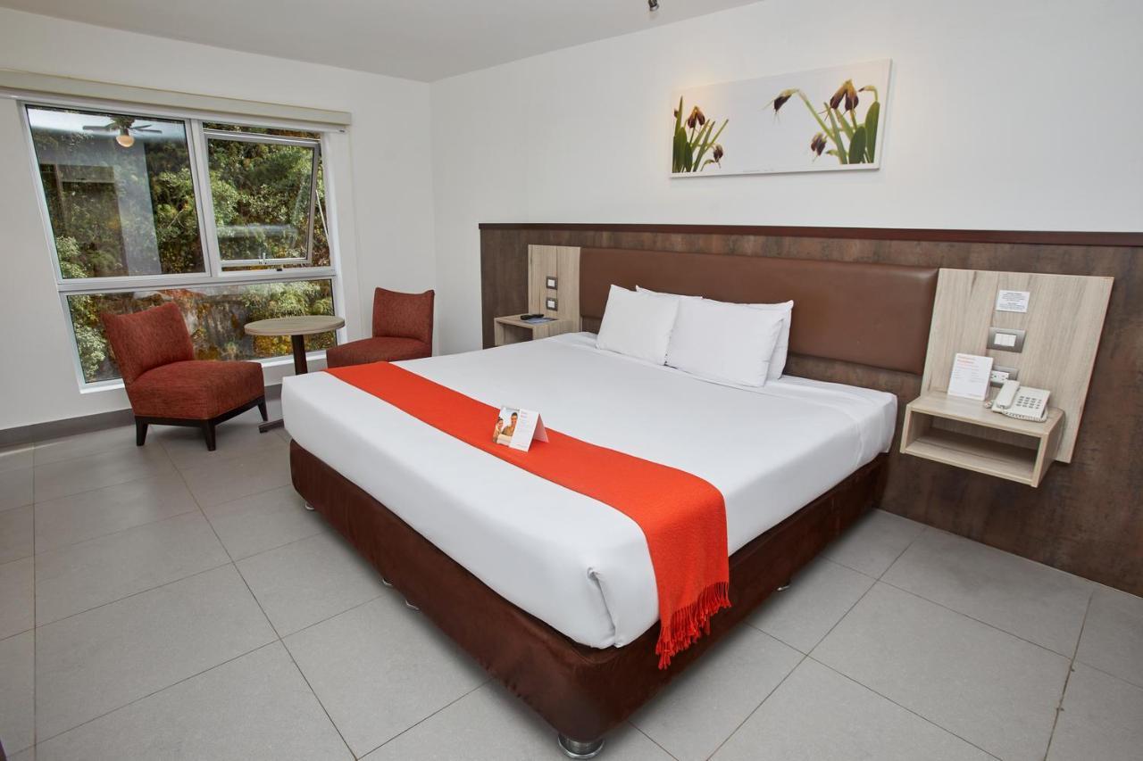 Junior Suite,1263805984:JPEG
